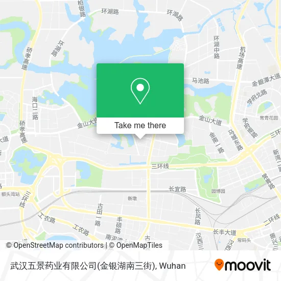 武汉五景药业有限公司(金银湖南三街) map