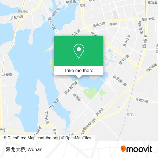 藏龙大桥 map