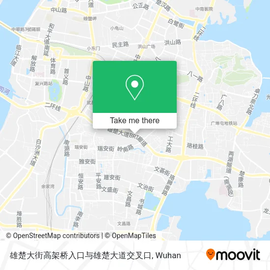 雄楚大街高架桥入口与雄楚大道交叉口 map