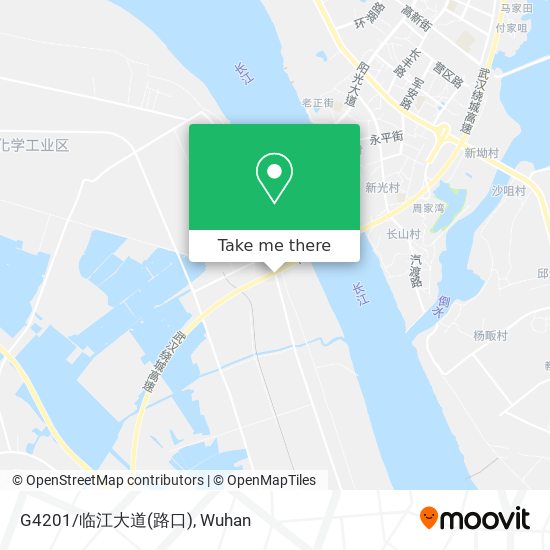 G4201/临江大道(路口) map