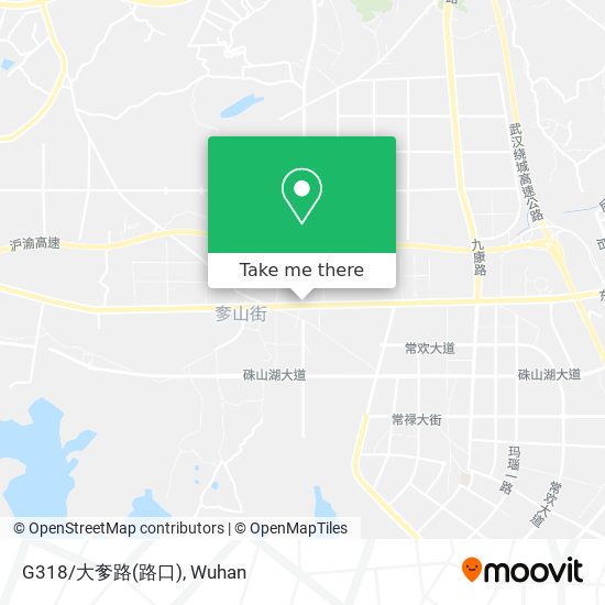 G318/大奓路(路口) map