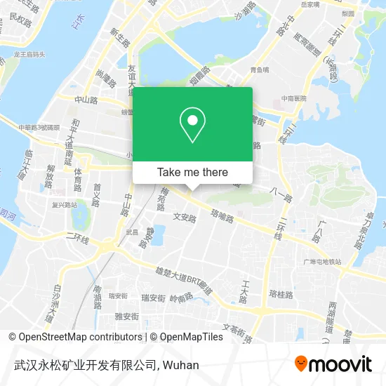 武汉永松矿业开发有限公司 map