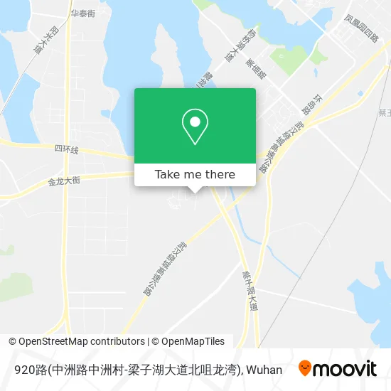 920路(中洲路中洲村-梁子湖大道北咀龙湾) map