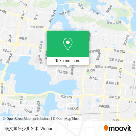 杨文国际少儿艺术 map