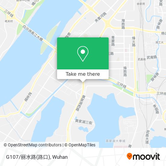 G107/丽水路(路口) map