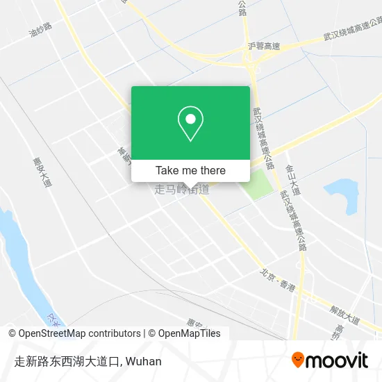 走新路东西湖大道口 map