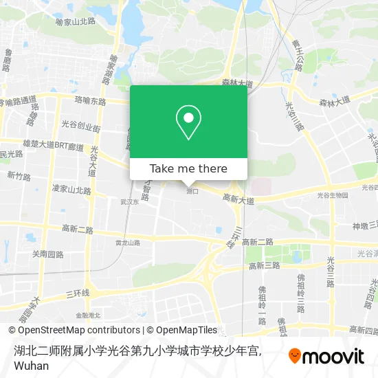 湖北二师附属小学光谷第九小学城市学校少年宫 map