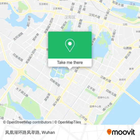 凤凰湖环路凤举路 map