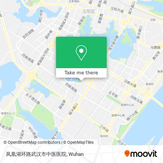 凤凰湖环路武汉市中医医院 map