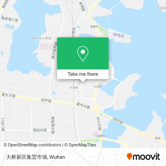 大桥新区集贸市场 map