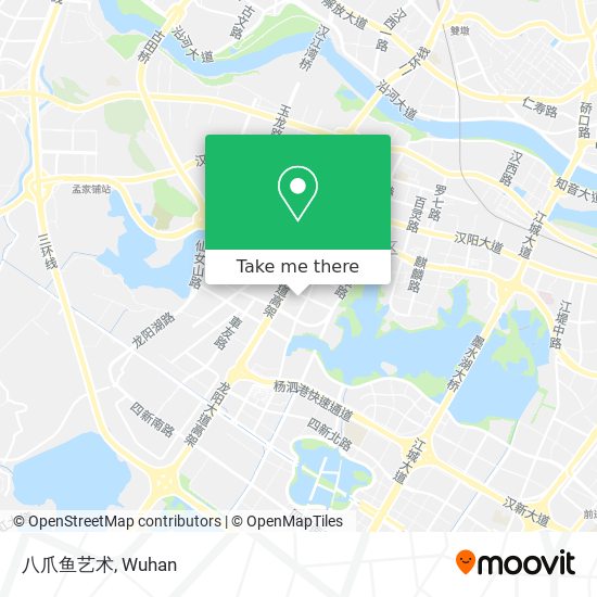 八爪鱼艺术 map