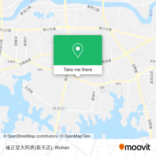 修正堂大药房(新天店) map