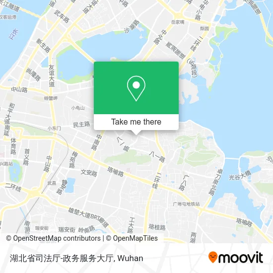 湖北省司法厅-政务服务大厅 map