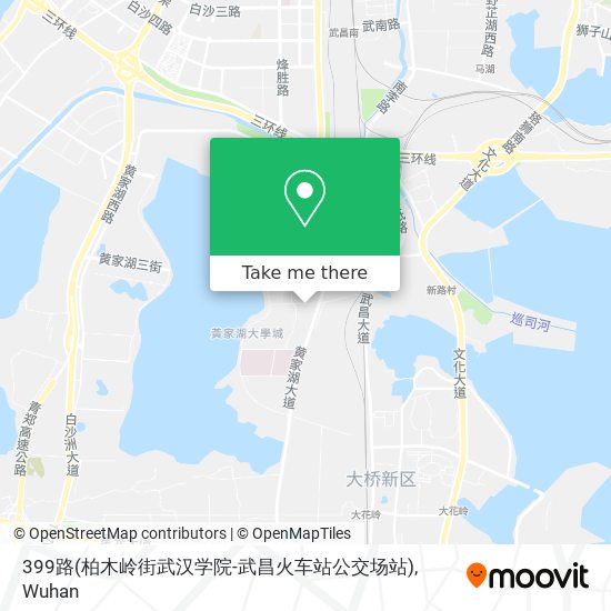 399路(柏木岭街武汉学院-武昌火车站公交场站) map