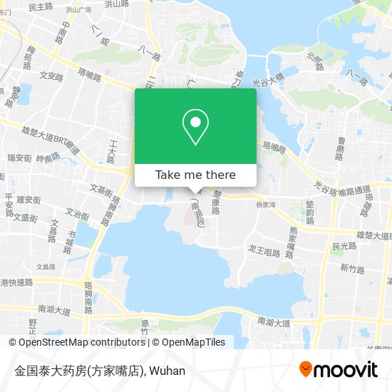 金国泰大药房(方家嘴店) map