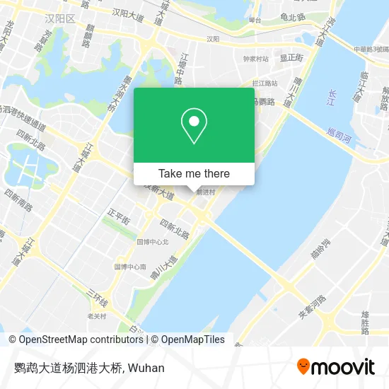 鹦鹉大道杨泗港大桥 map
