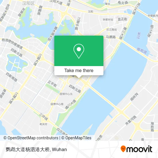 鹦鹉大道杨泗港大桥 map