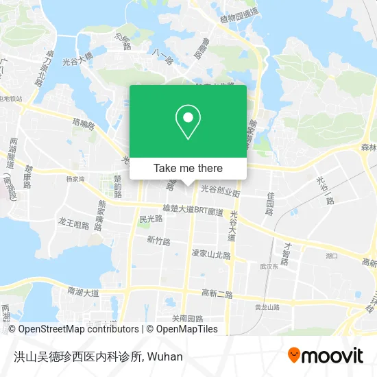 洪山吴德珍西医内科诊所 map
