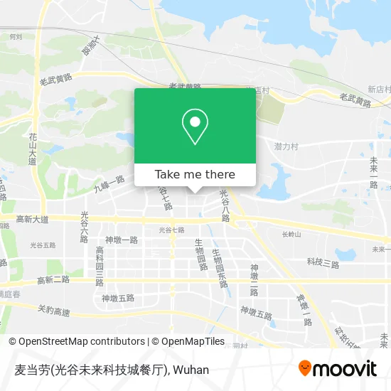 麦当劳(光谷未来科技城餐厅) map
