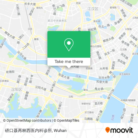 硚口聂再林西医内科诊所 map