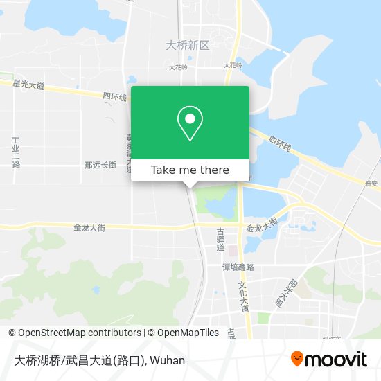 大桥湖桥/武昌大道(路口) map