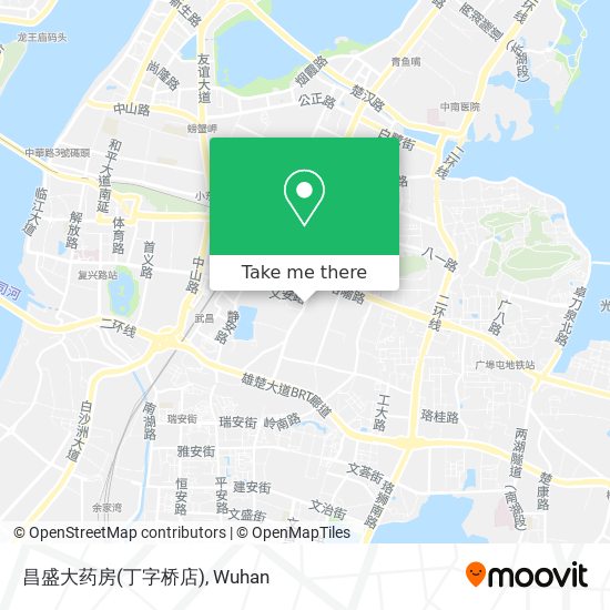昌盛大药房(丁字桥店) map