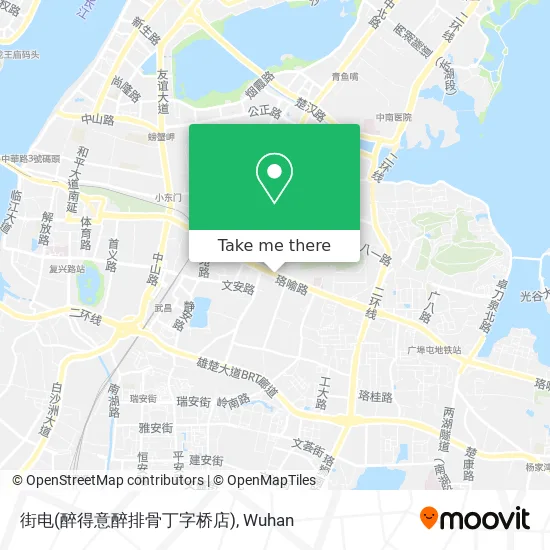 街电(醉得意醉排骨丁字桥店) map