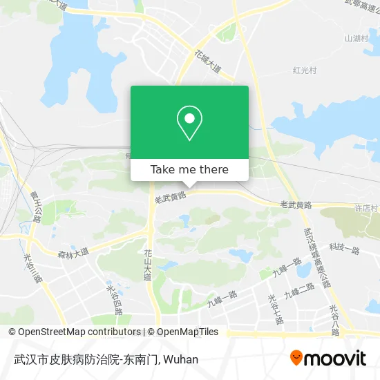 武汉市皮肤病防治院-东南门 map