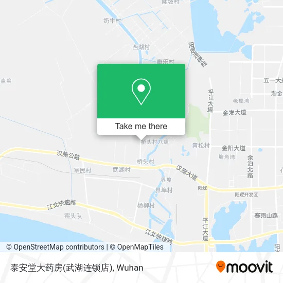 泰安堂大药房(武湖连锁店) map