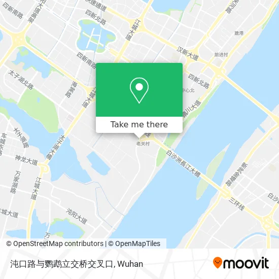沌口路与鹦鹉立交桥交叉口 map