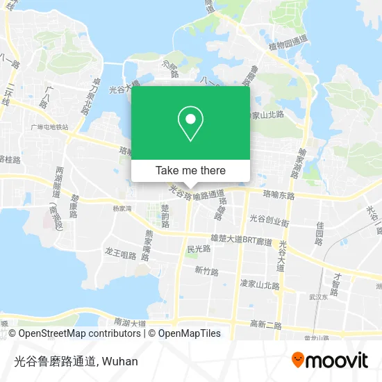 光谷鲁磨路通道 map