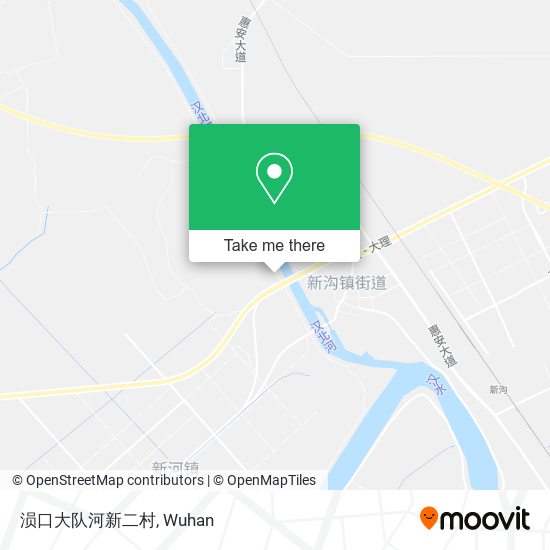涢口大队河新二村 map