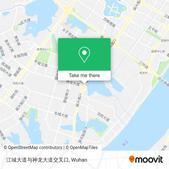 江城大道与神龙大道交叉口 map