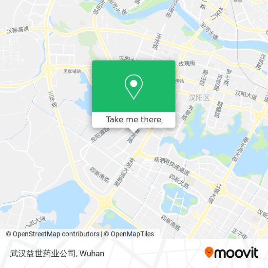 武汉益世药业公司 map
