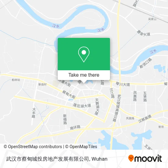 武汉市蔡甸城投房地产发展有限公司 map