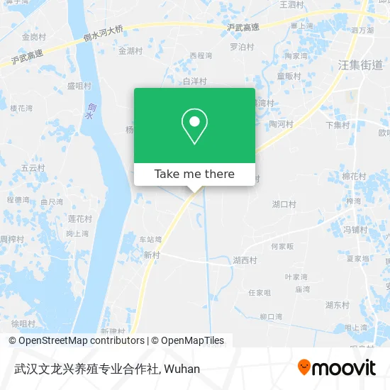 武汉文龙兴养殖专业合作社 map