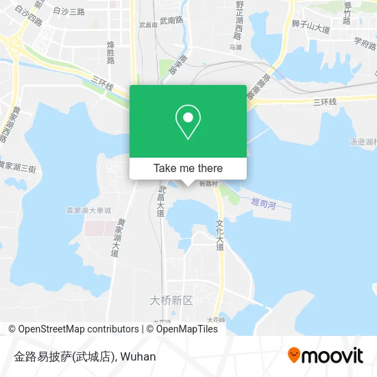 金路易披萨(武城店) map