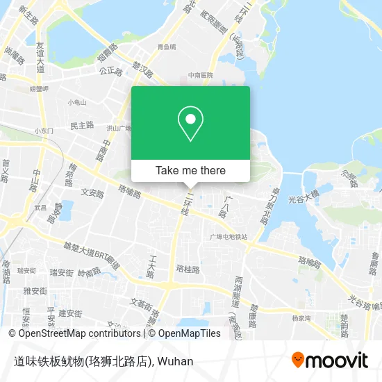 道味铁板鱿物(珞狮北路店) map