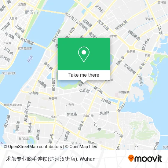 术颜专业脱毛连锁(楚河汉街店) map