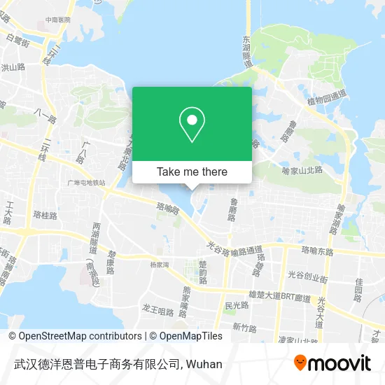 武汉德洋恩普电子商务有限公司 map