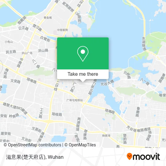 滋意果(楚天府店) map
