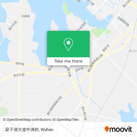 梁子湖大道中洲村 map