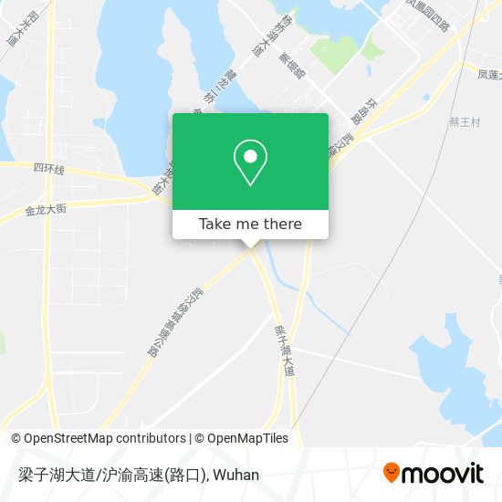 梁子湖大道/沪渝高速(路口) map