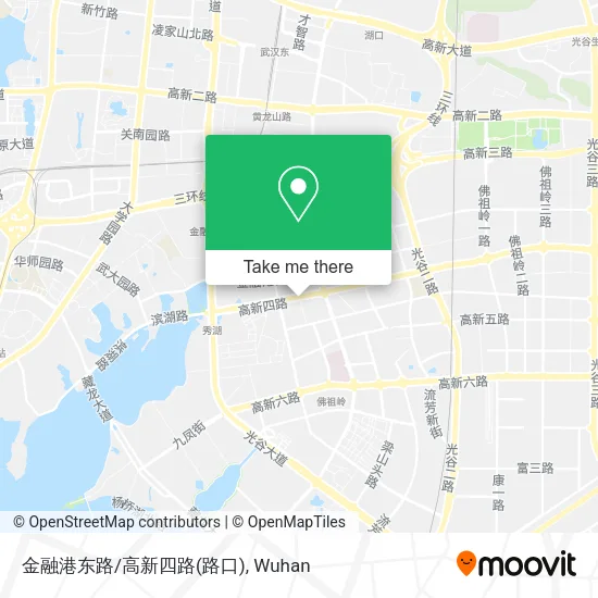 金融港东路/高新四路(路口) map