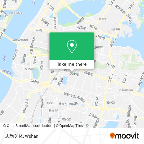 志尚芝体 map