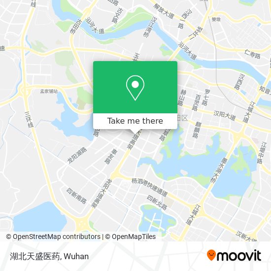 湖北天盛医药 map
