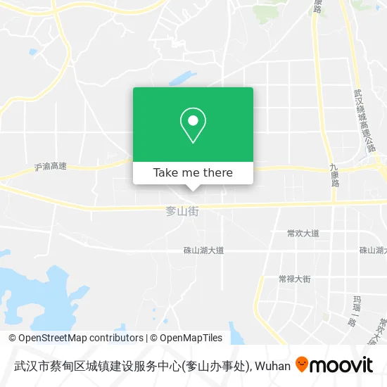 武汉市蔡甸区城镇建设服务中心(奓山办事处) map