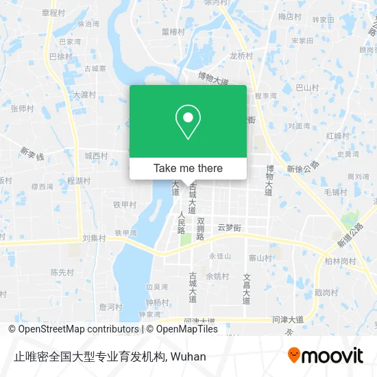 止唯密全国大型专业育发机构 map