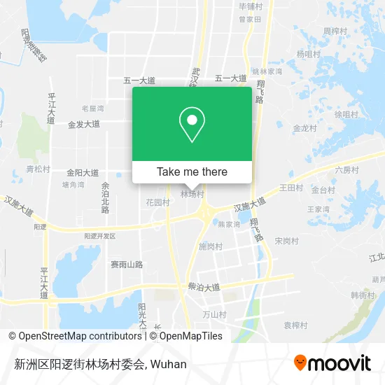 新洲区阳逻街林场村委会 map