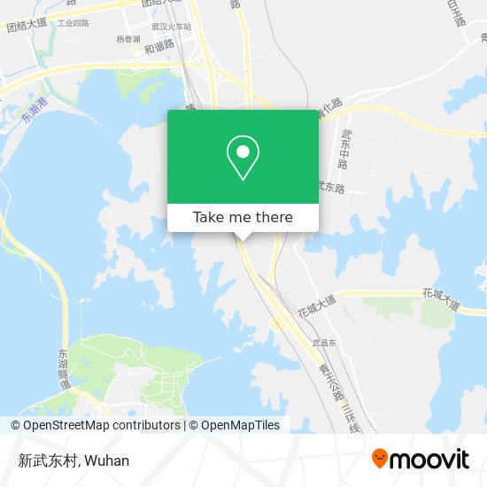 新武东村 map
